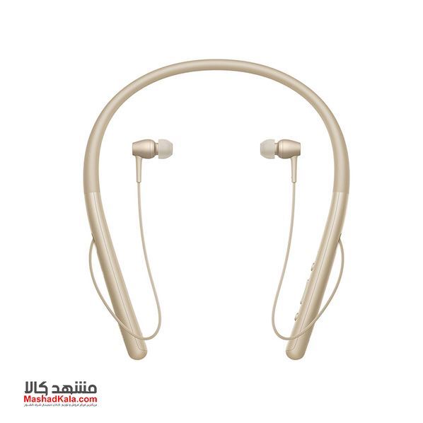 Sony WI-H700 Wireless Headphones