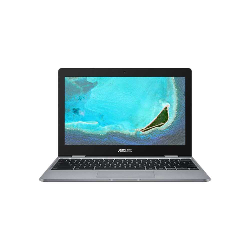 Asus Chromebook C223NA