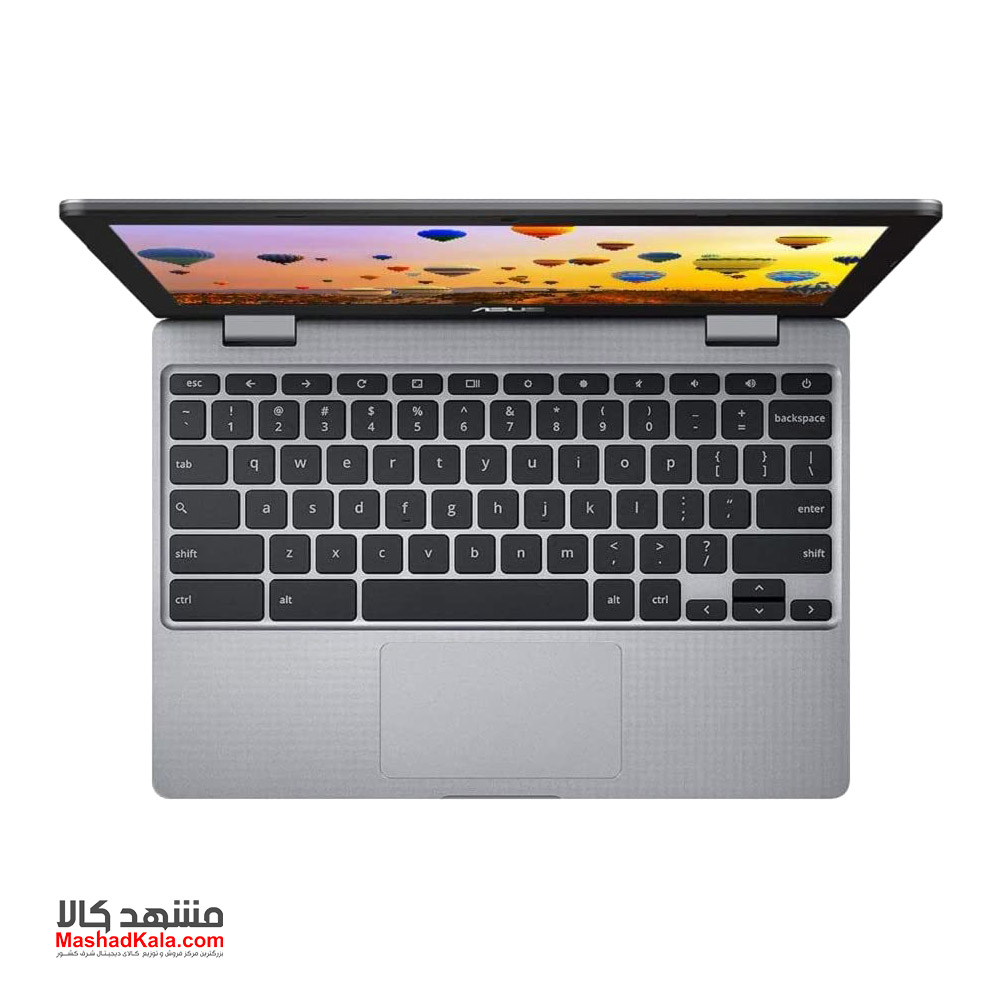 Asus Chromebook C223NA