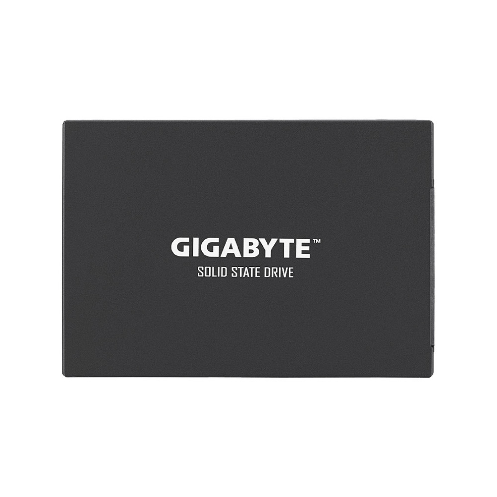 GIGABYTE GP-GSTF31256GTND