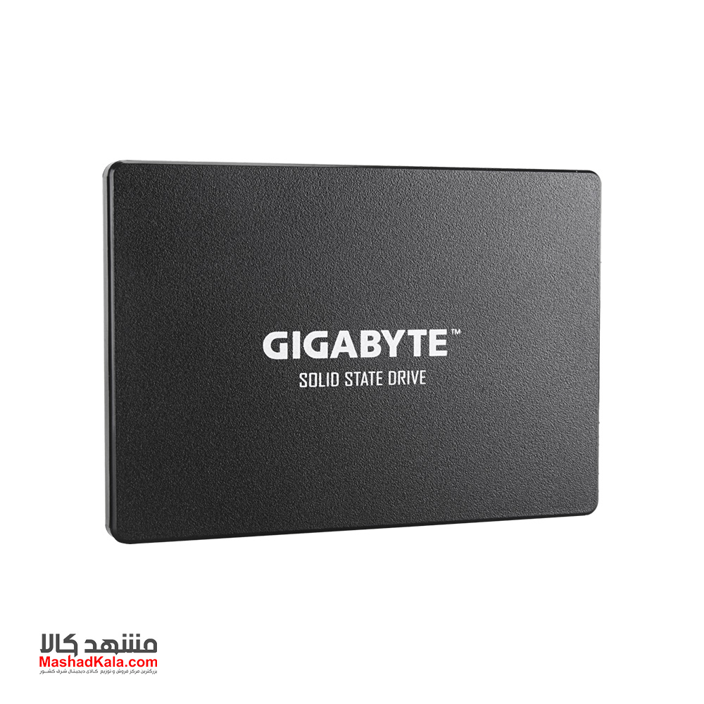 GIGABYTE GP-GSTF31256GTND