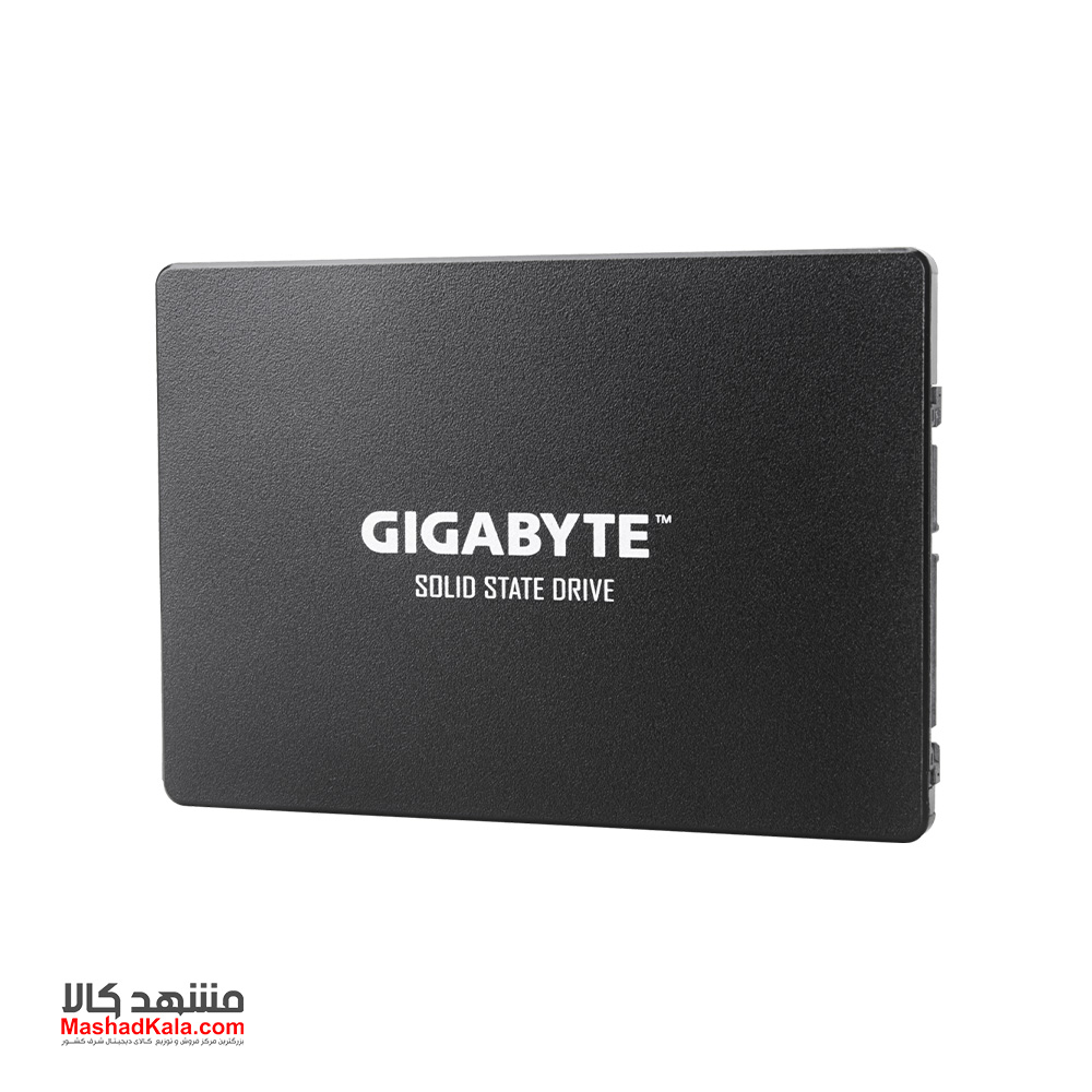 GIGABYTE GP-GSTF31256GTND