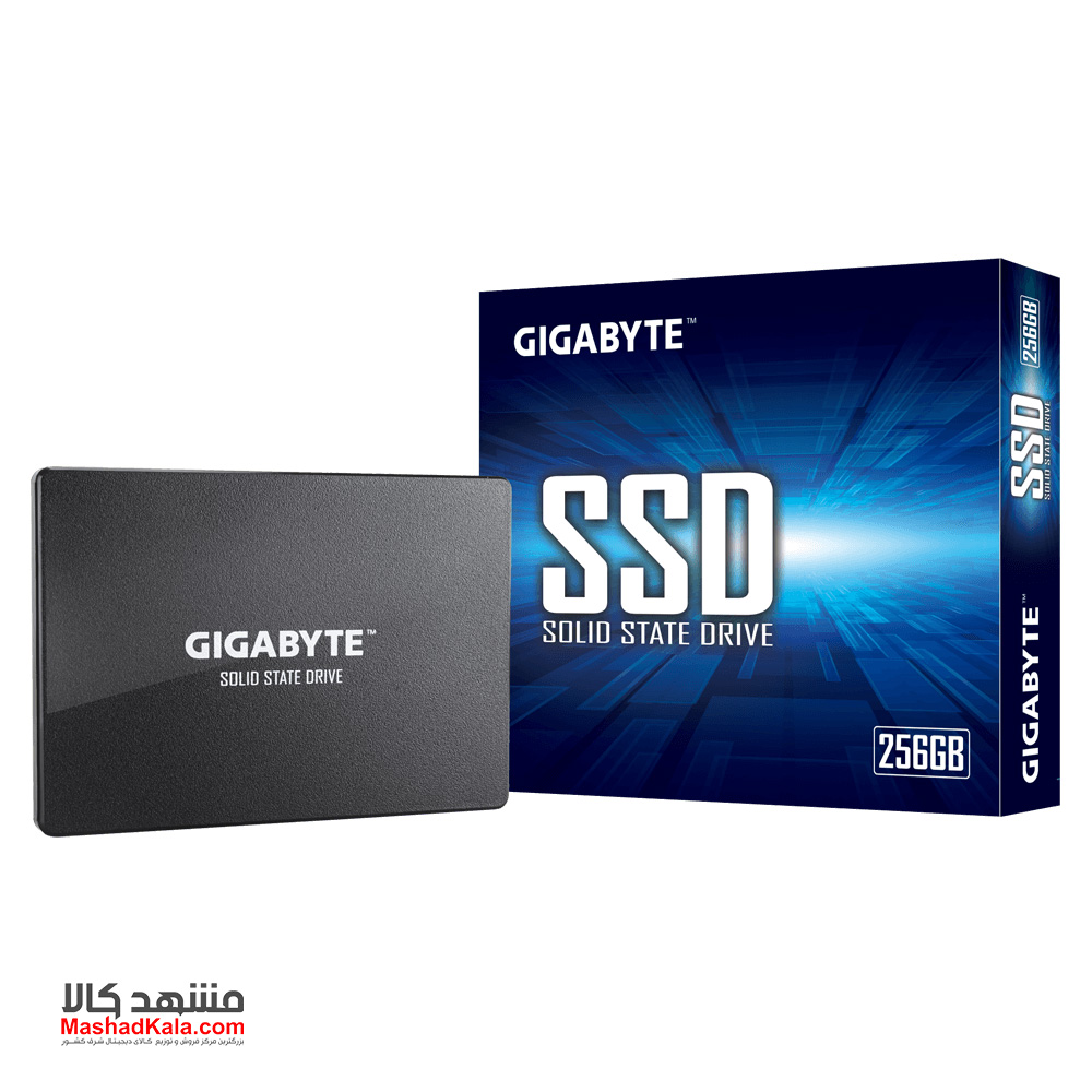 GIGABYTE GP-GSTF31256GTND