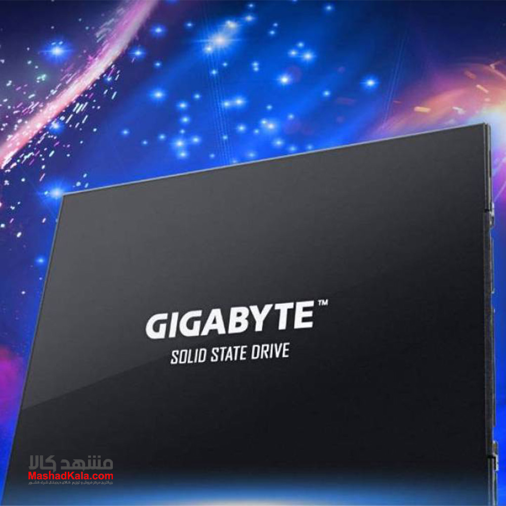 GIGABYTE GP-GSTF31256GTND