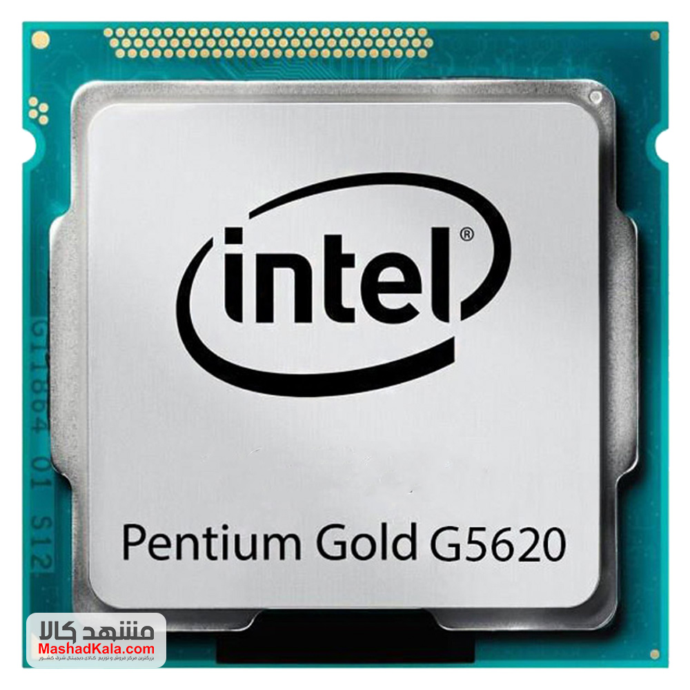 	Intel Pentium Gold