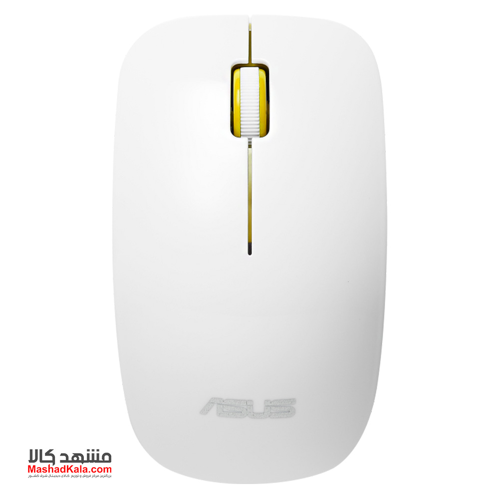 Asus WT300