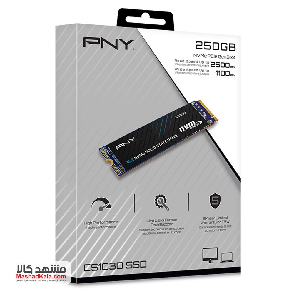 PNY CS1030