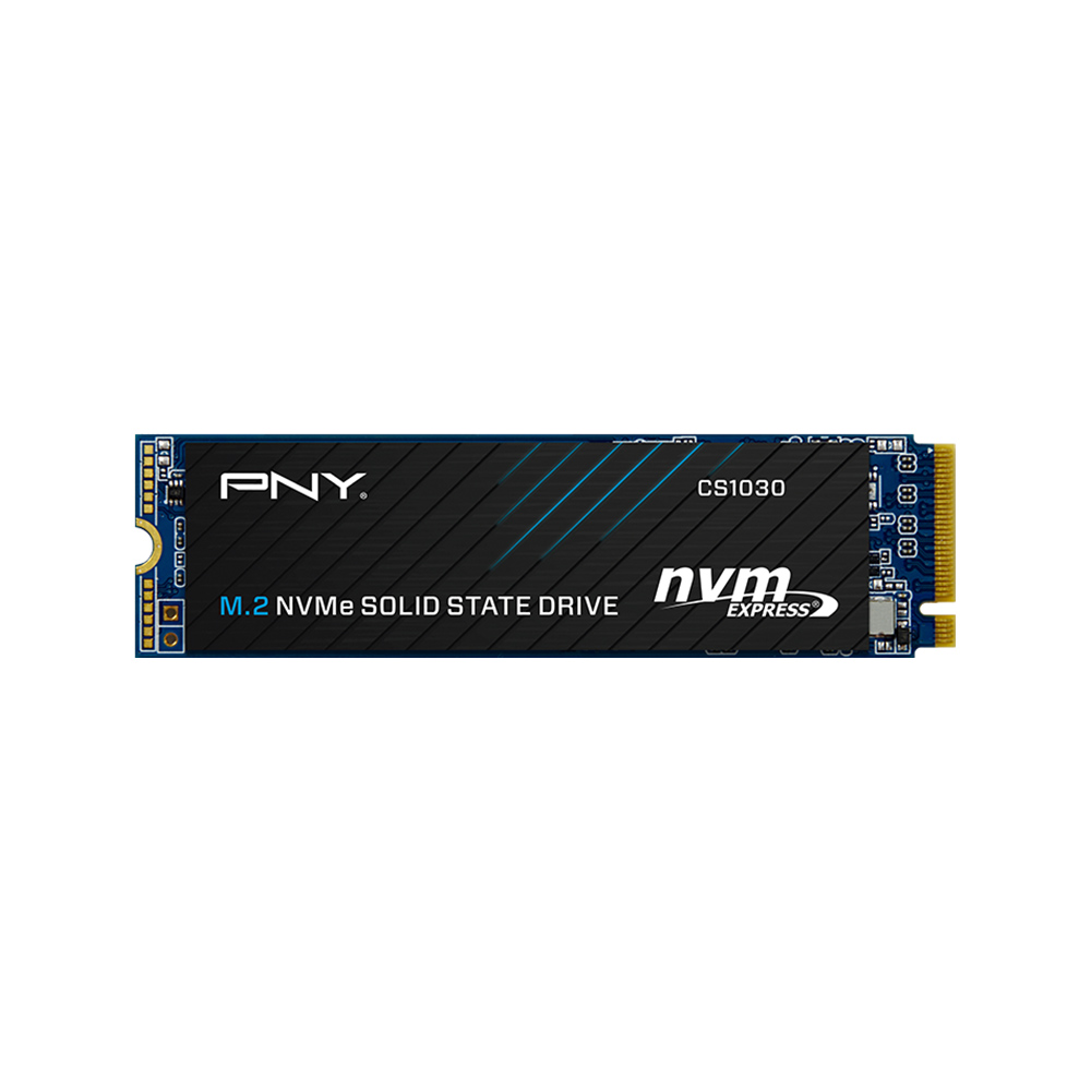 PNY CS1030 500GB