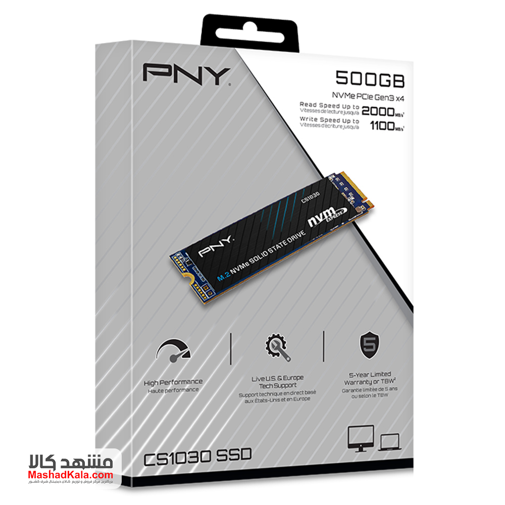 PNY CS1030 500GB