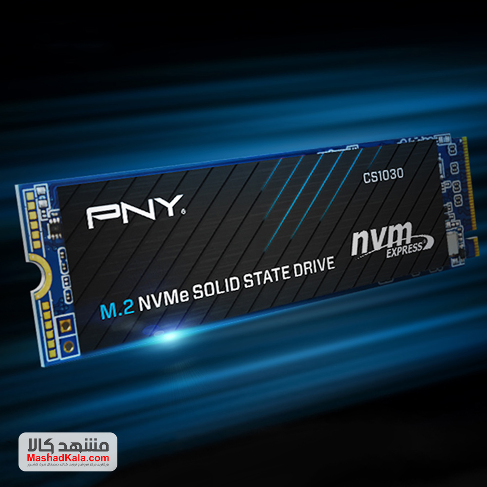 PNY CS1030 500GB