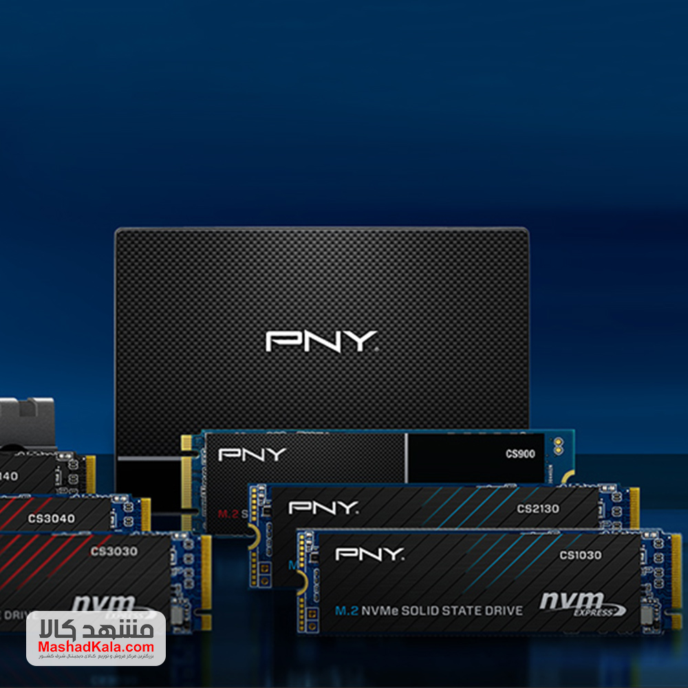 PNY CS1030 500GB