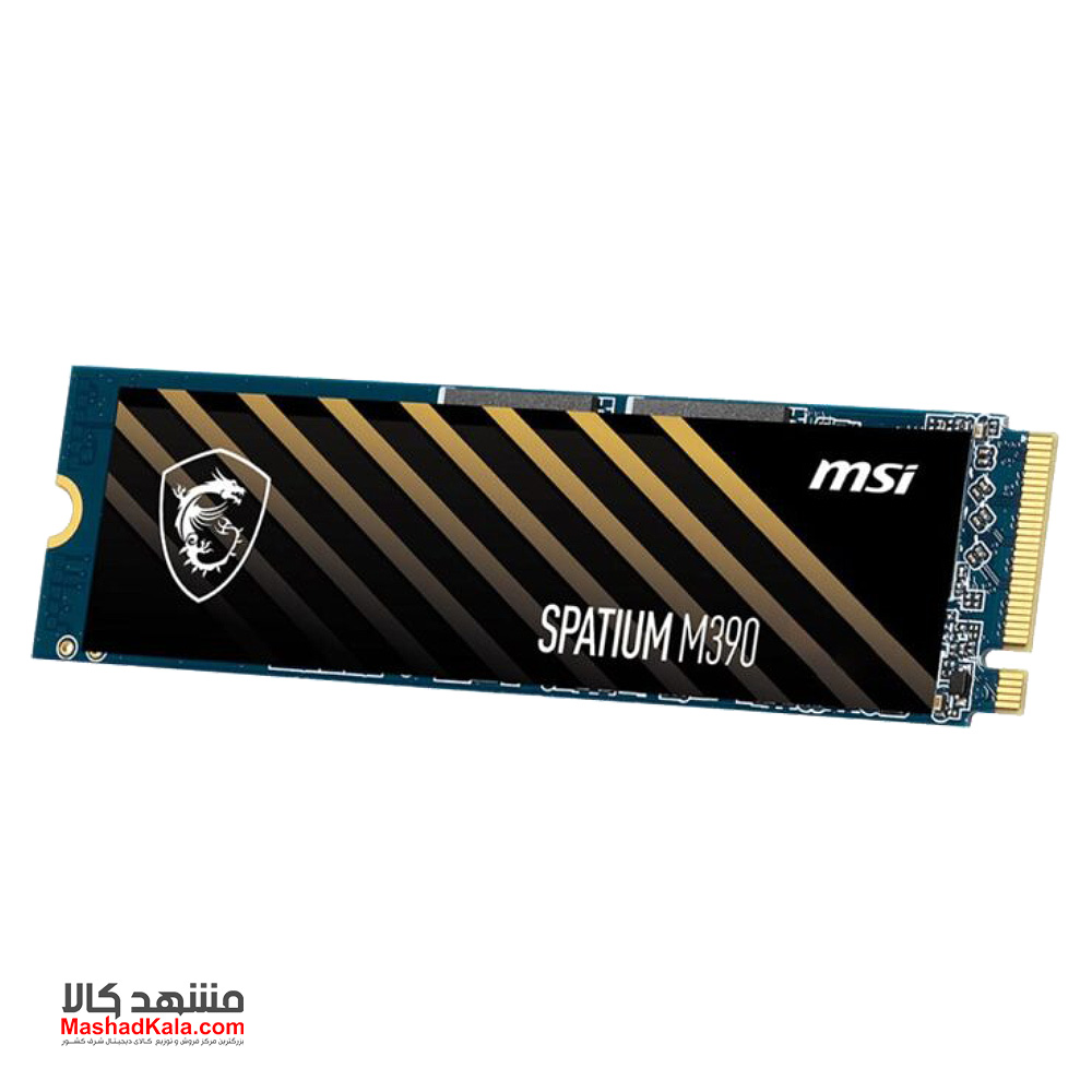 MSI Spatium M390