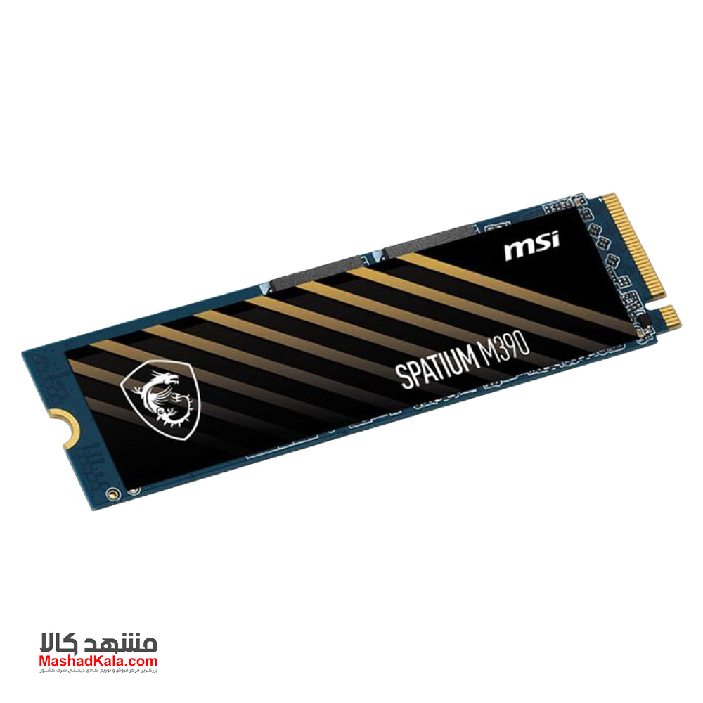 MSI Spatium M390