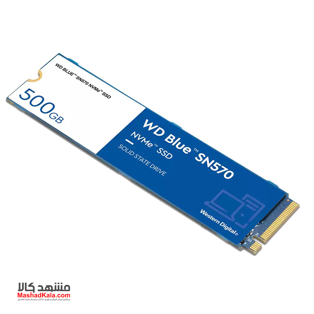 Western Digital Blue WDS500G3B0B NVMe SN570 500GB M.2 2280 SSD