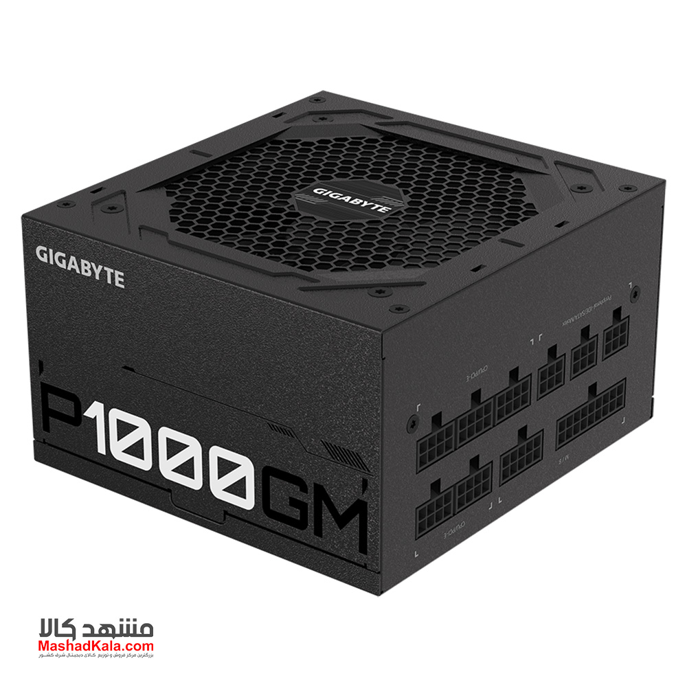  GIGABYTE P1000GM Power Supply