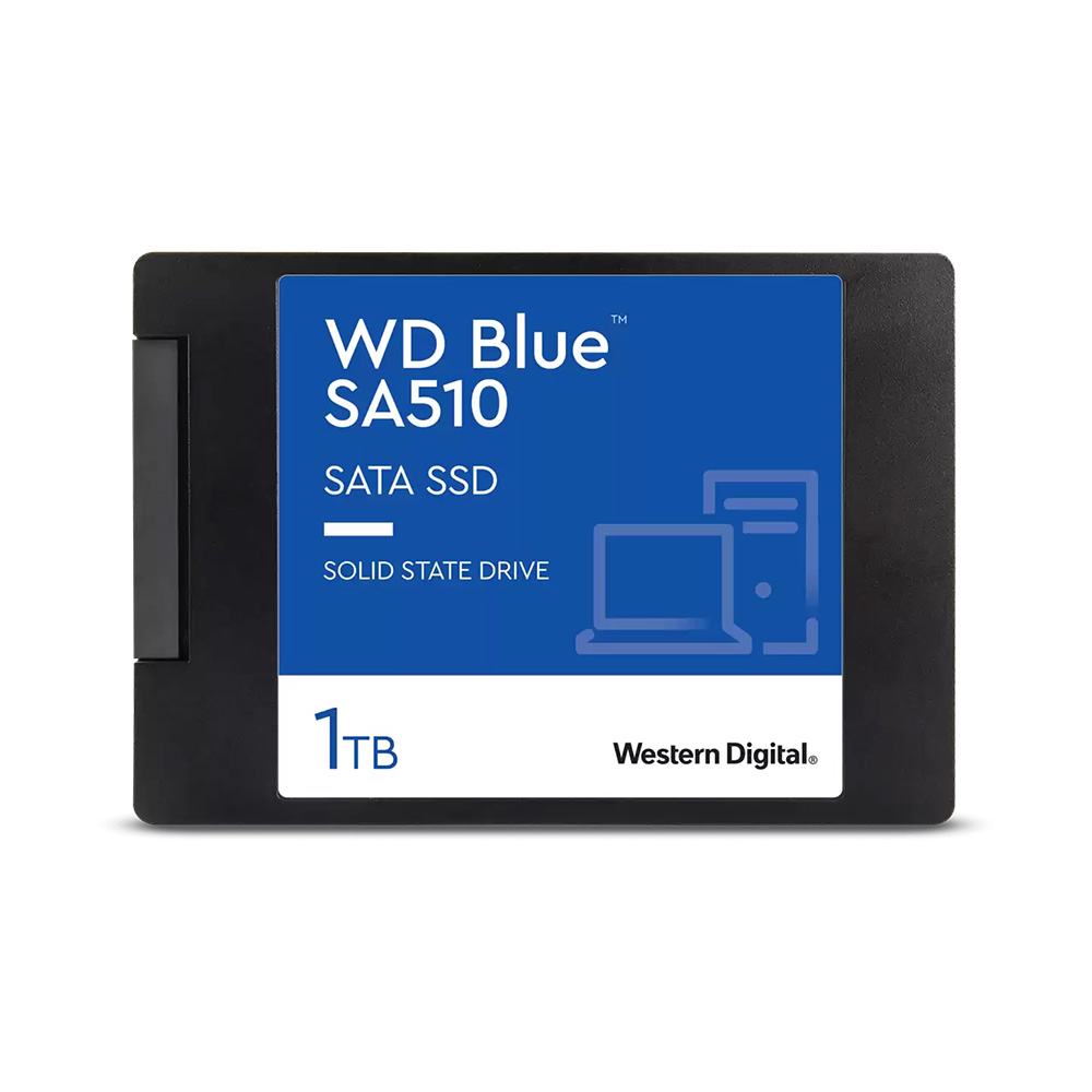 Western Digital Blue WDS100T3B0A