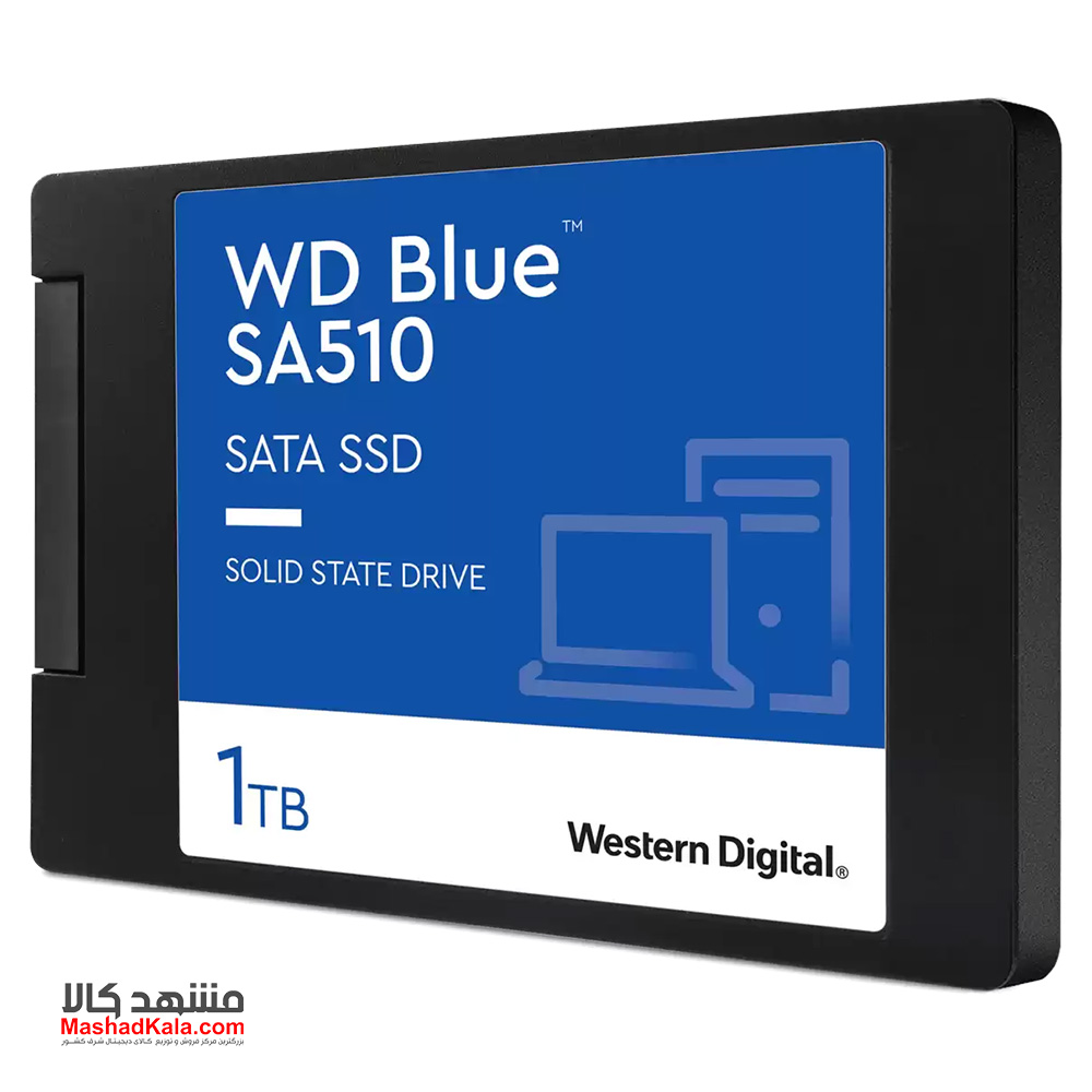 Western Digital Blue WDS100T3B0A