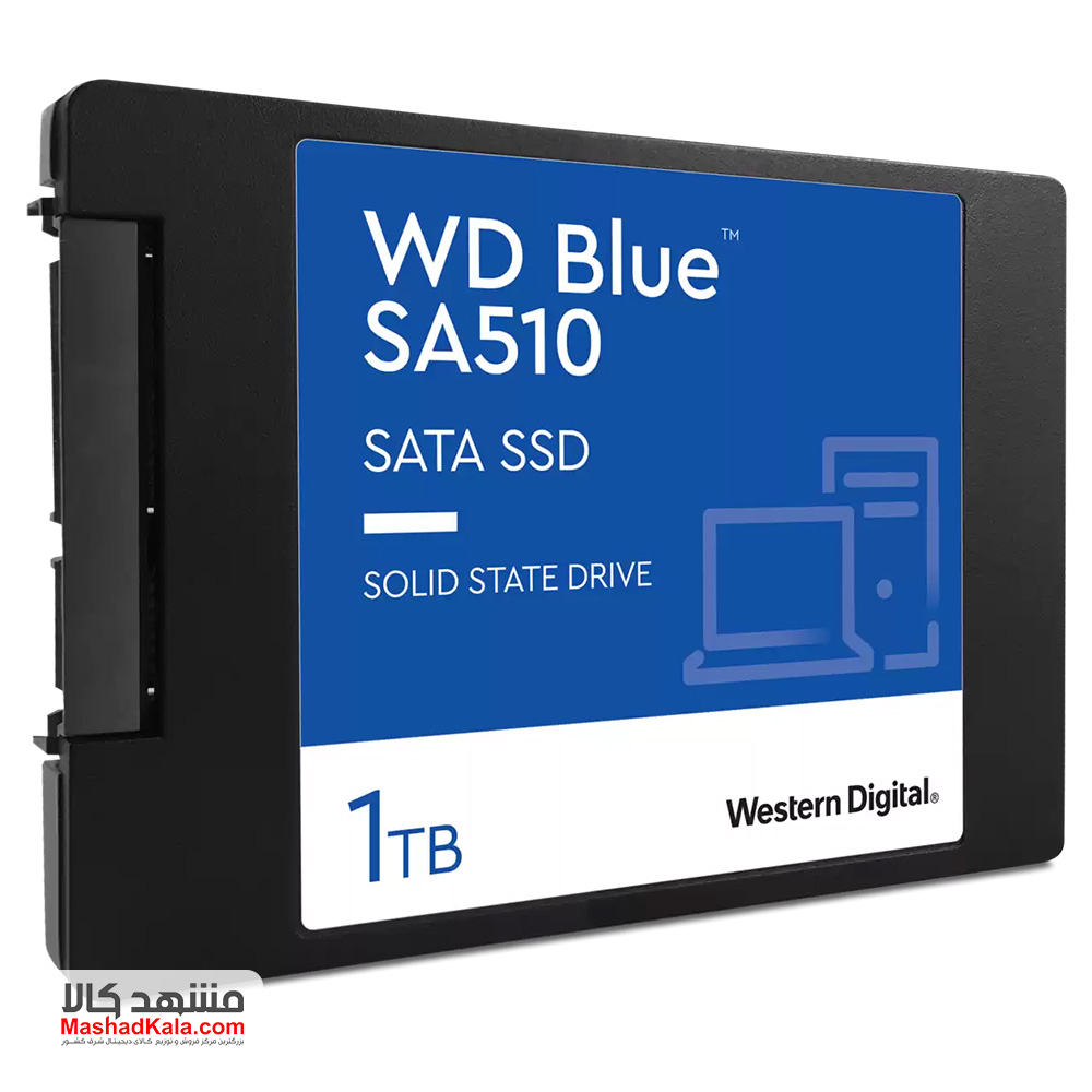 Western Digital Blue WDS100T3B0A