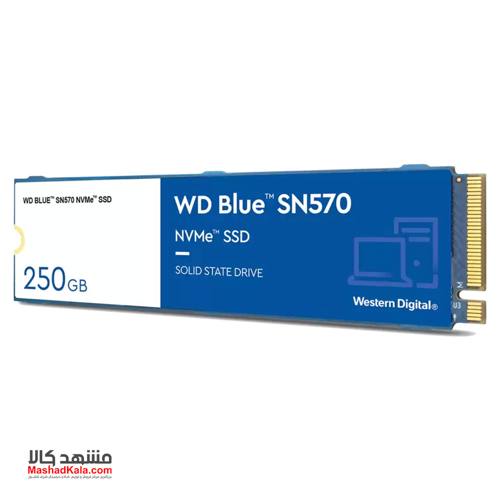 Western Digital Blue SN570 WDS250G3B0C