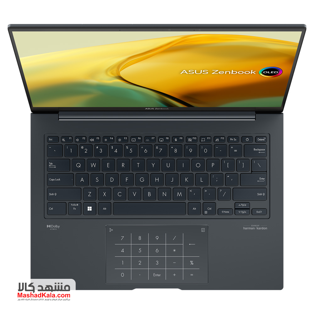 Asus ZenBook 14X OLED Q410VA