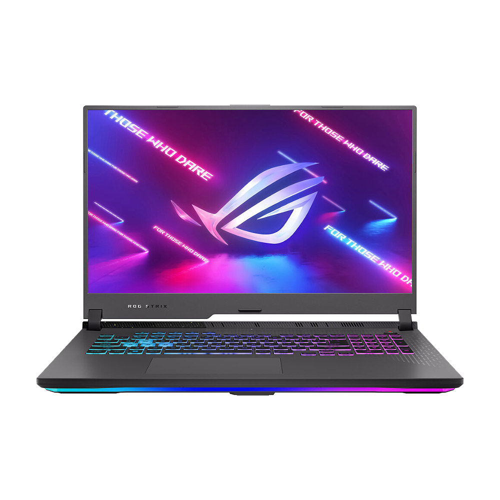 Asus ROG Strix G17 G713RM