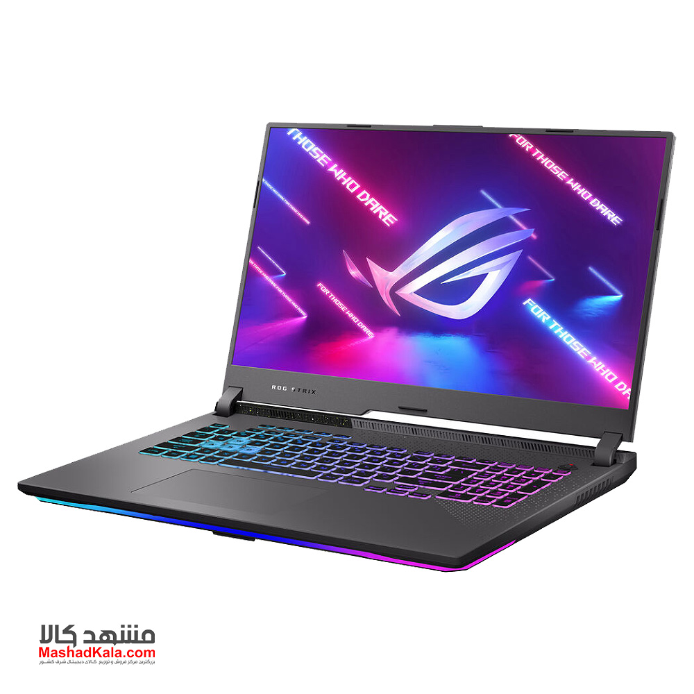 Asus ROG Strix G17 G713RM