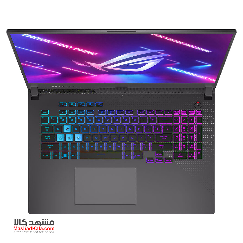 Asus ROG Strix G17 G713RM