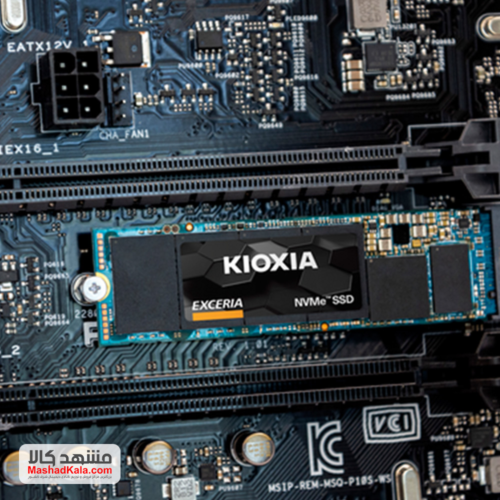 Toshiba Kioxa Exceria Poe Express