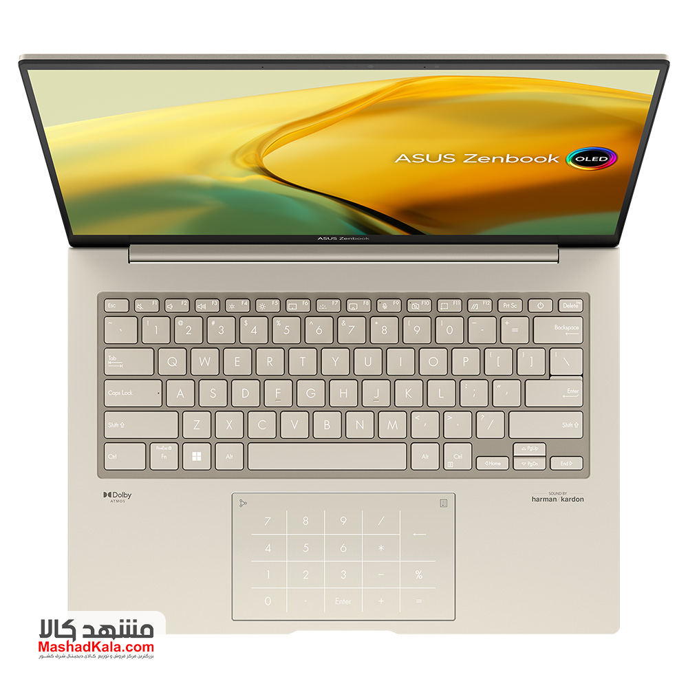 Asus ZenBook 14X OLED UX3404VA