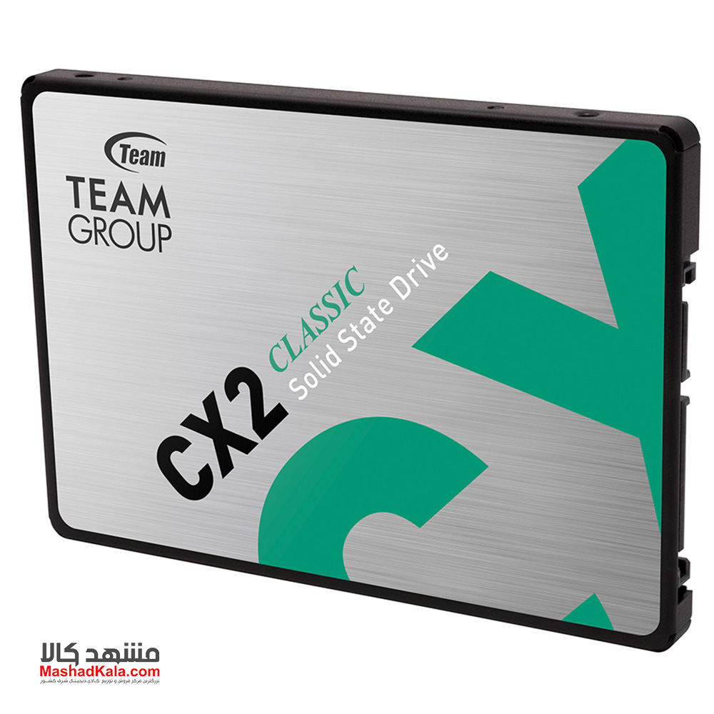 TeamGroup CX2 256GB