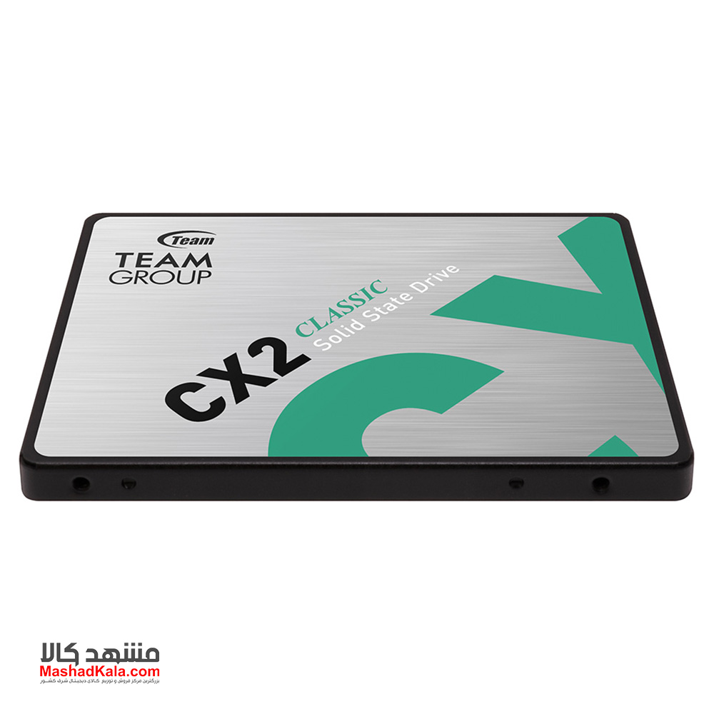 TeamGroup CX2 256GB