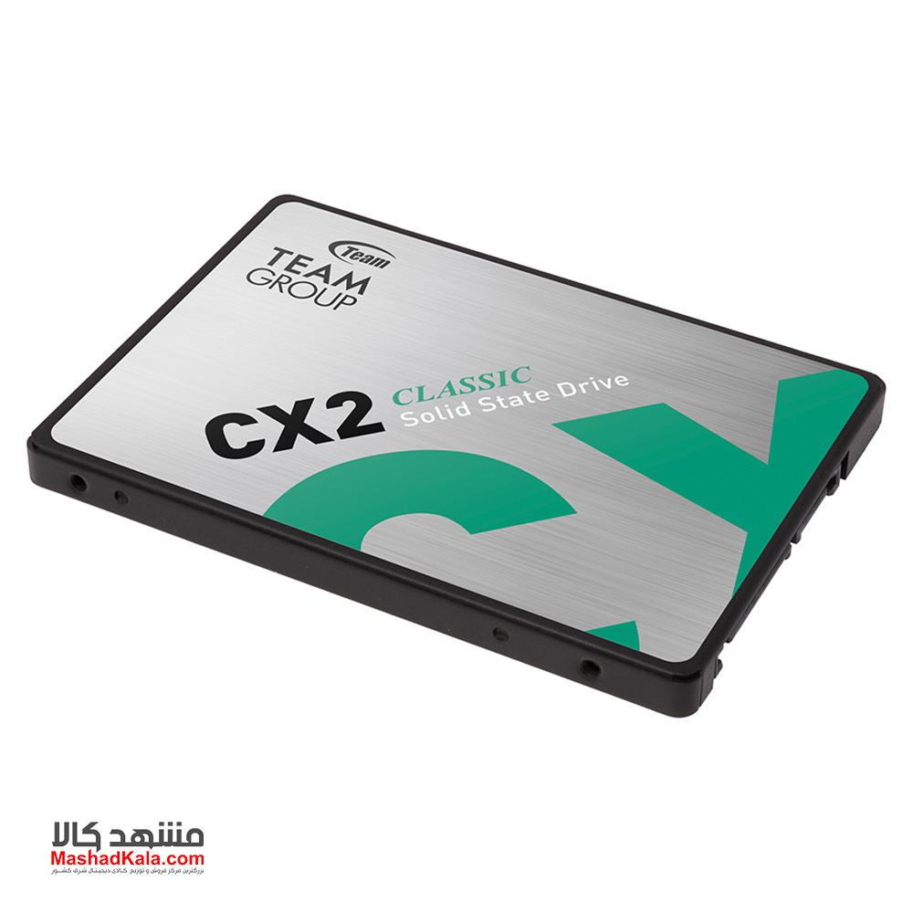 TeamGroup CX2 256GB