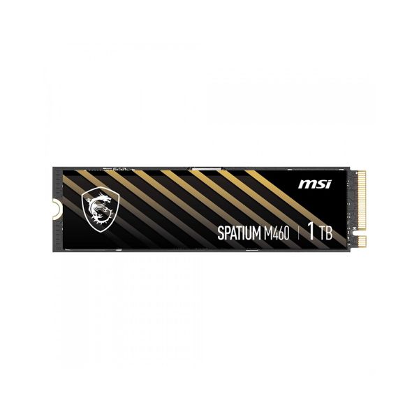 MSI Spatium M460 1TB