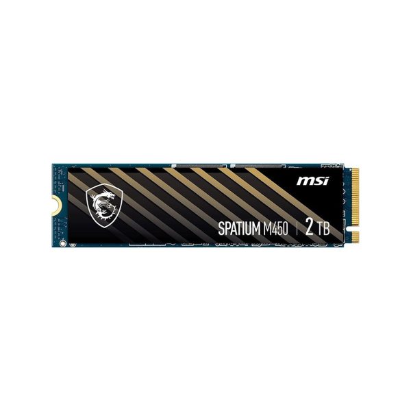 SPATIUM M450 PCIe 4.0 NVMe M.2