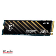 MSI Spatium M371 500GB