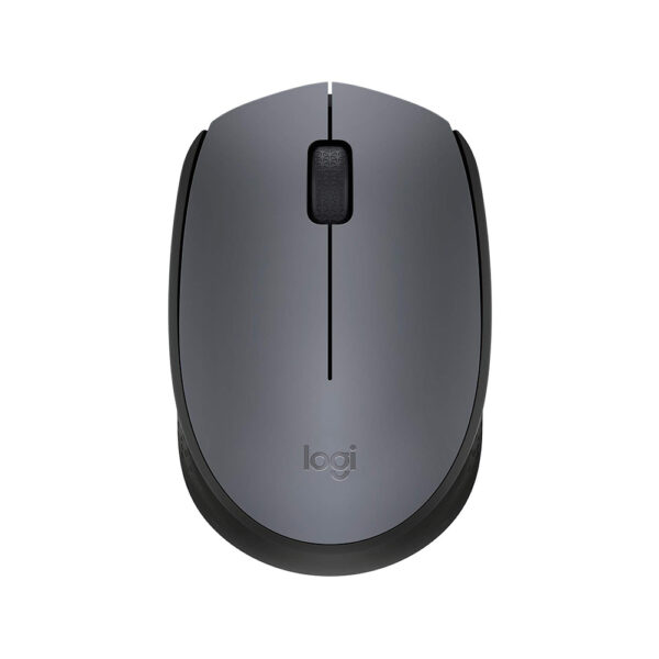 Logitech M171