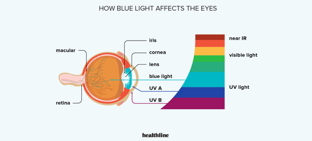 visible spectrum