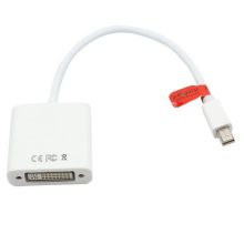 Royal Mini Displayport To DVI