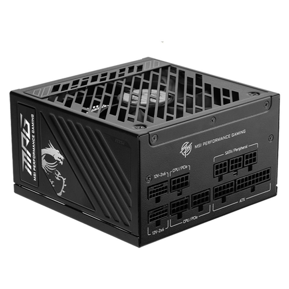 MSI MPG A1250GS