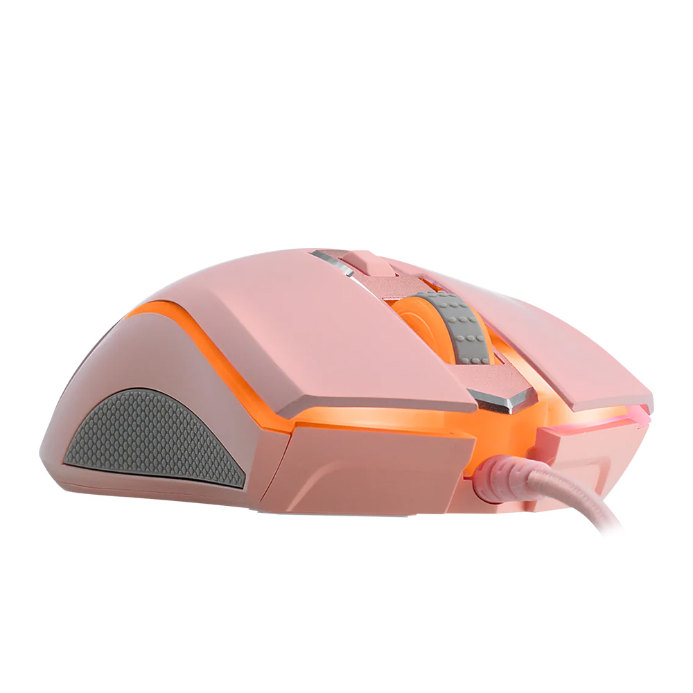 Rapoo V25S