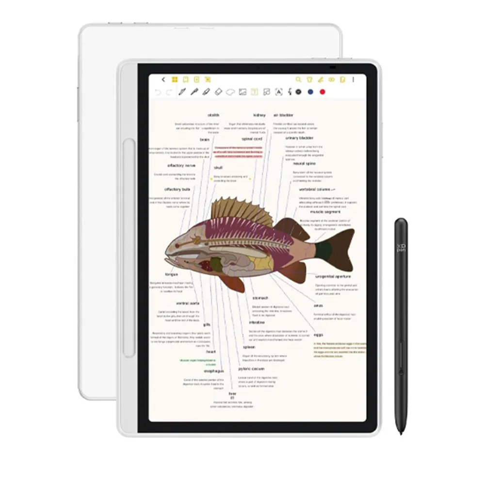 XP-Pen Magic Note Pad Graphic Tablet