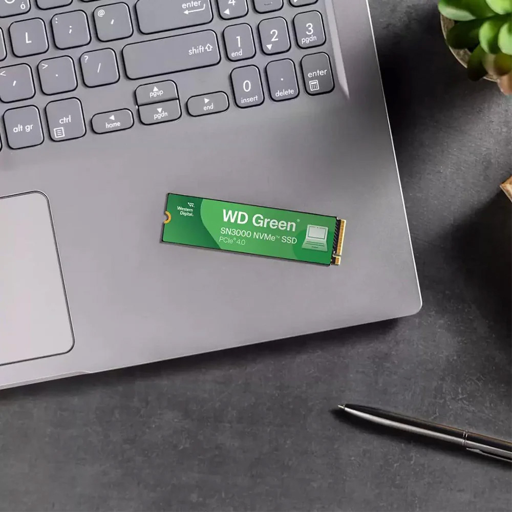 Western Digital Green SN3000