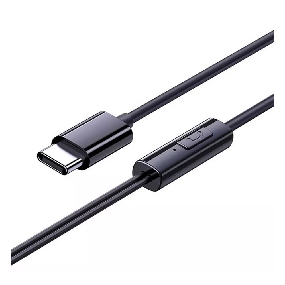EARPHONE TYPE C A00164300213-Z1