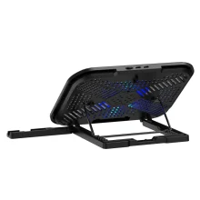 RAPOO CF100