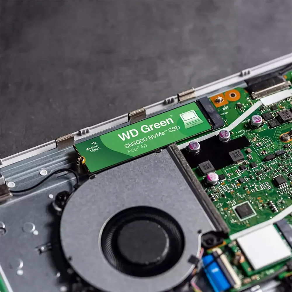 Western Digital Green SN3000