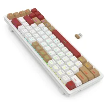 Redragon RAMMUS PRO K677WLR RGB With Brown Mechanical Switch Wireless Gaming Keyboard